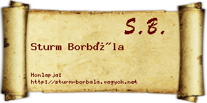 Sturm Borbála névjegykártya