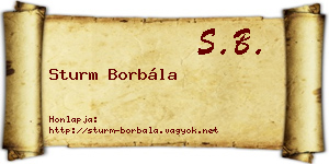 Sturm Borbála névjegykártya