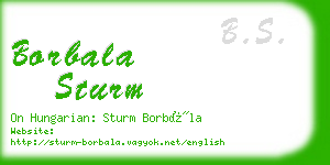 borbala sturm business card
